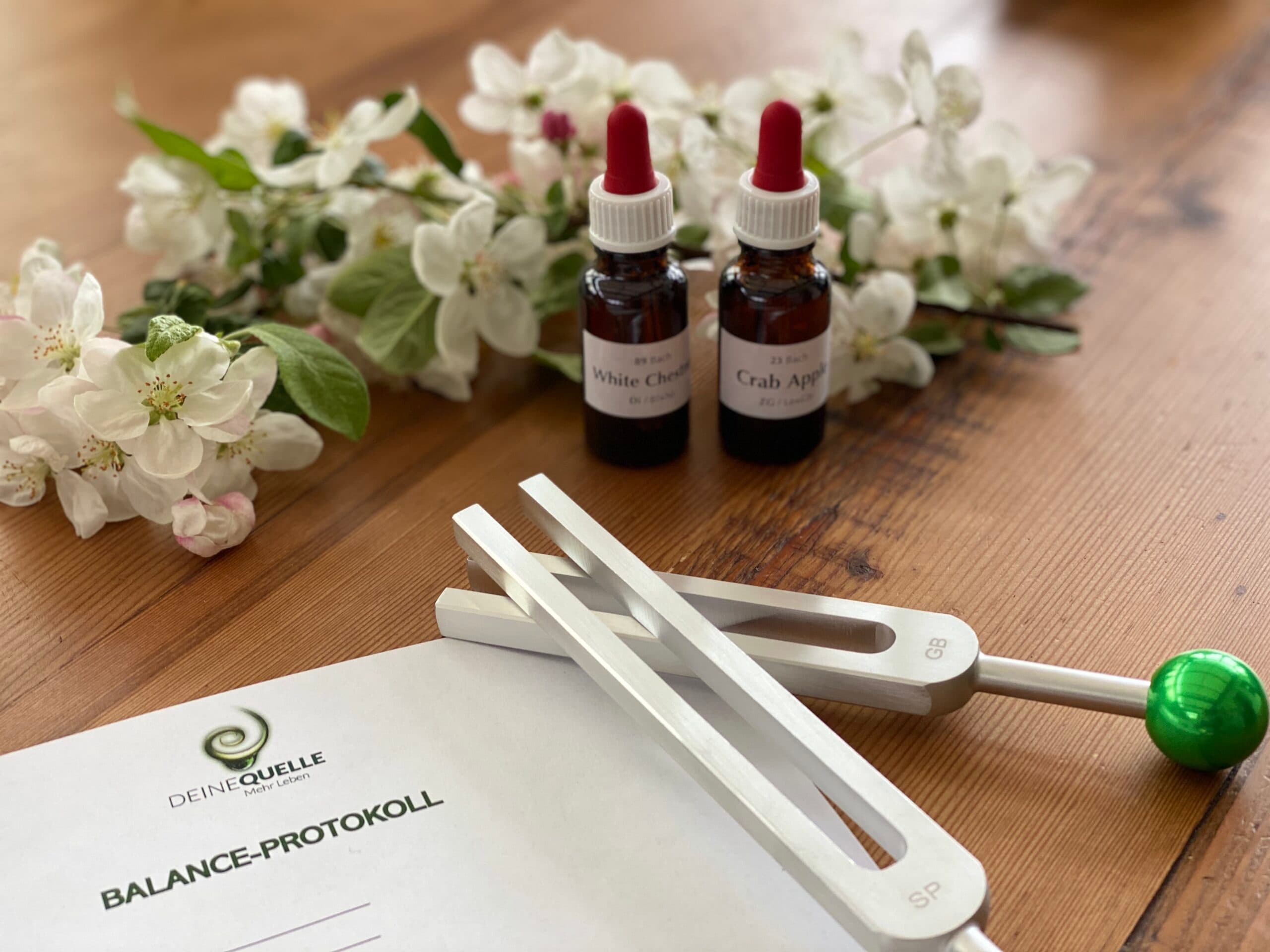 Kinesiologie — Instrumente und Notizbücher