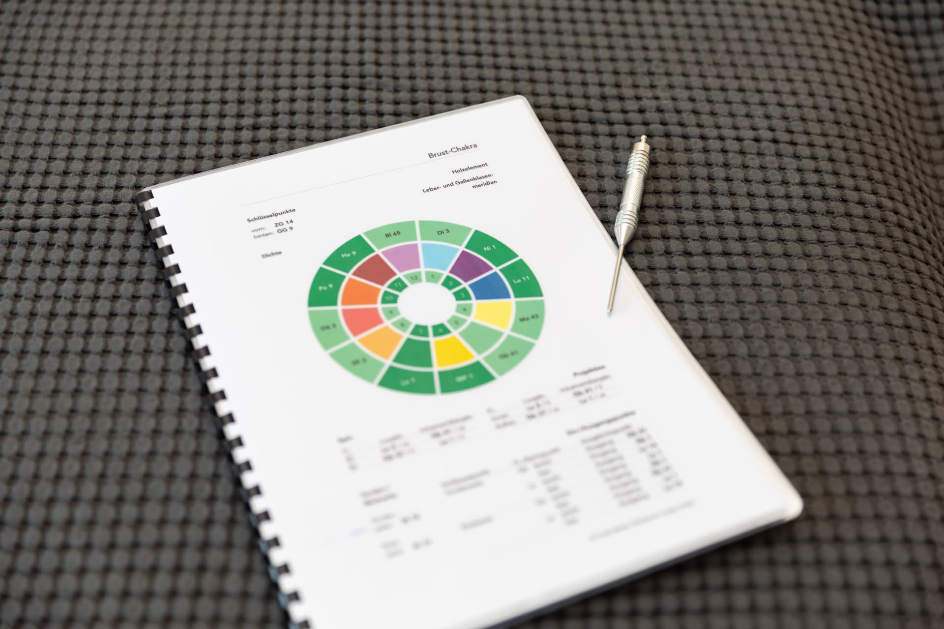 Claudia Dimmler — achtsame Begleitung